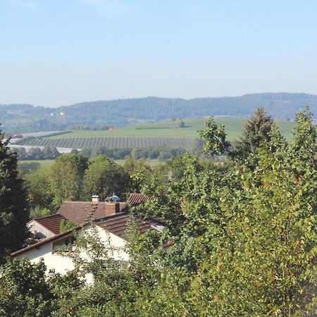 Gesundheitshotel Haus Sonnenstein Salem  Exteriér fotografie