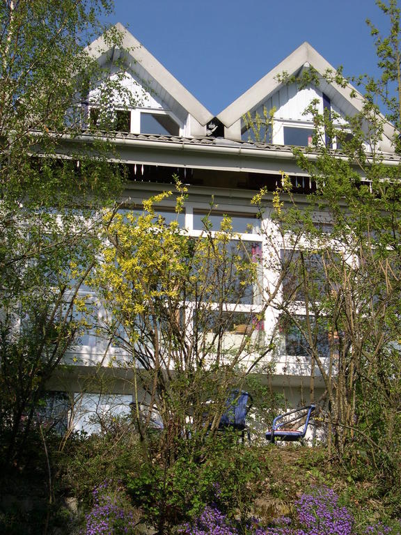 Gesundheitshotel Haus Sonnenstein Salem  Exteriér fotografie